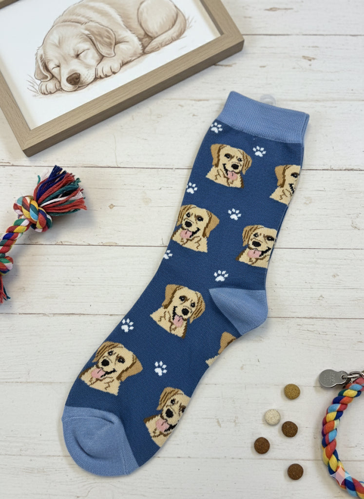 Paw-fect Socks