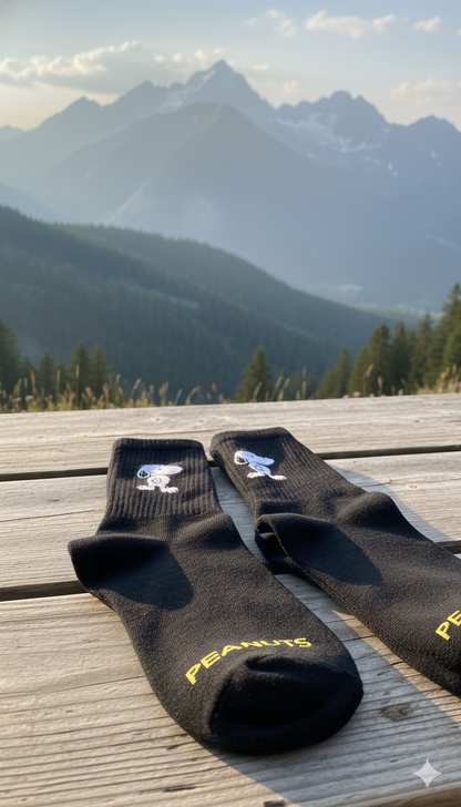 travel socks