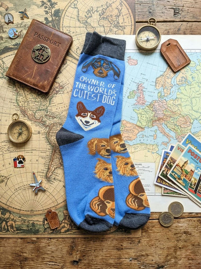 Paw-sitively Perfect Travel Socks